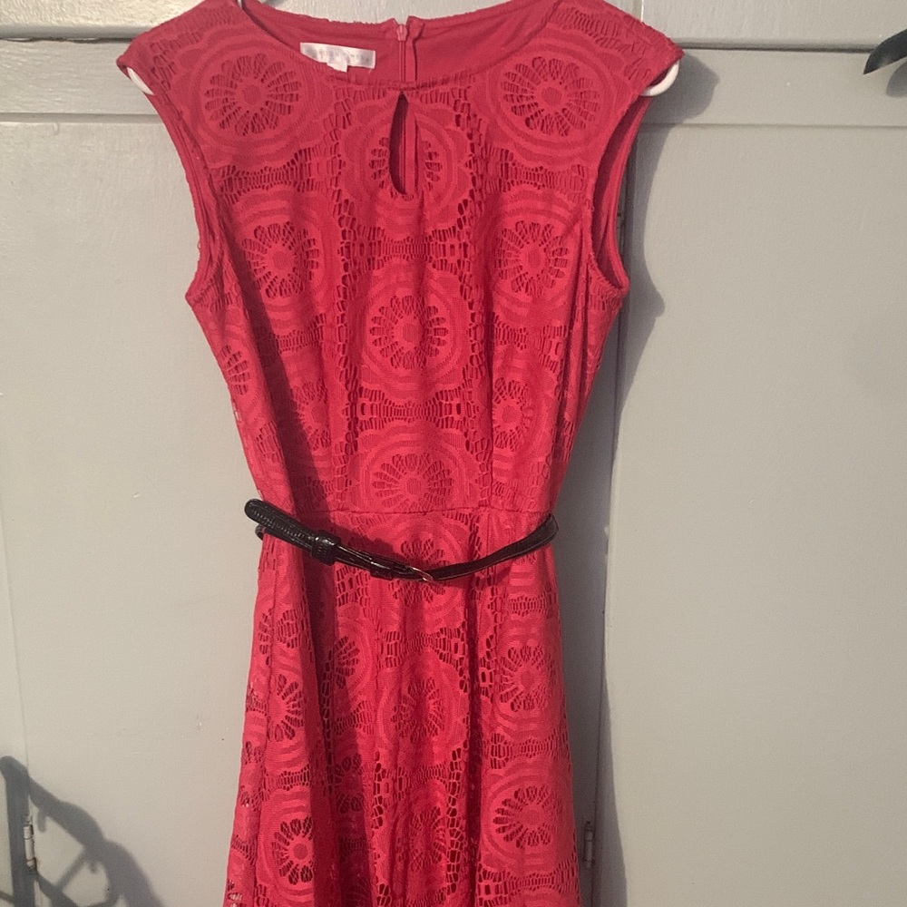 Chic pink  Lace Midi Dress
